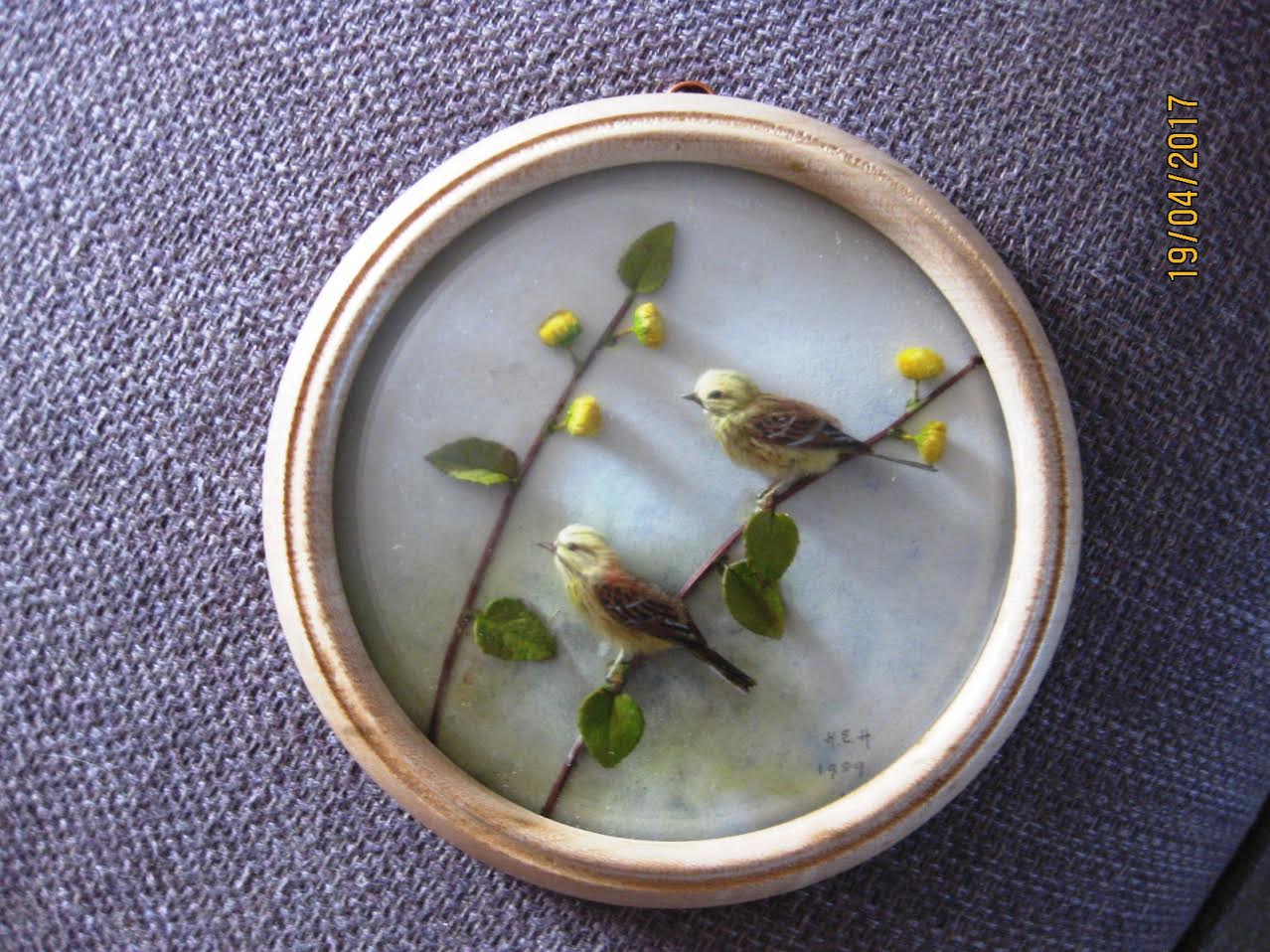 Yellow Hammers (5-inch)
